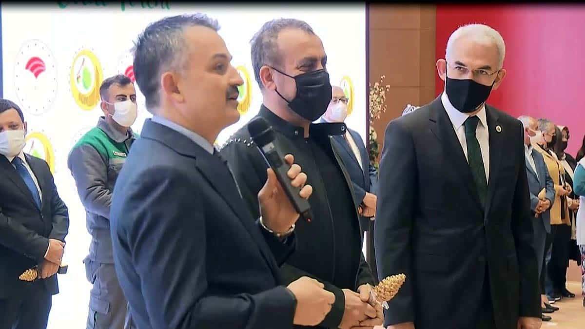 Kazdağları en hızlı şekilde ağaçlandırılacak