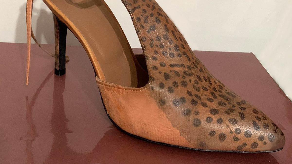 Balıkçılık ve Su Ürünleri Genel Müdürlüğü'ne bağlı Balıkçılık Daire Başkanı Doç. Dr. Mahir Kanyılmaz, Balon balığı zehri, ağrı kesici ilaca dönüşüyor dedi.