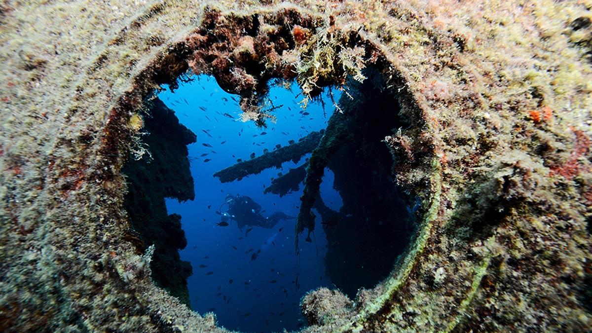 Antalya'da Gazipaşa'dan Kalkan'a kadar uzanan sahil şeridindeki irili ufaklı, doğal ve suni 222 dalış noktası su altı tutkunlarını bekliyor.