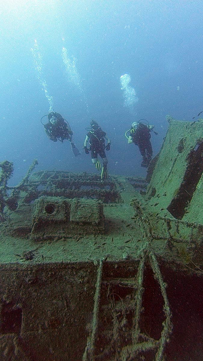 Su altı fotoğrafçısı Tahsin Ceylan tarafından fotoğraf çalışması yapılan dalış noktalarına, sezonda günlük bin dalış yapılıyor.