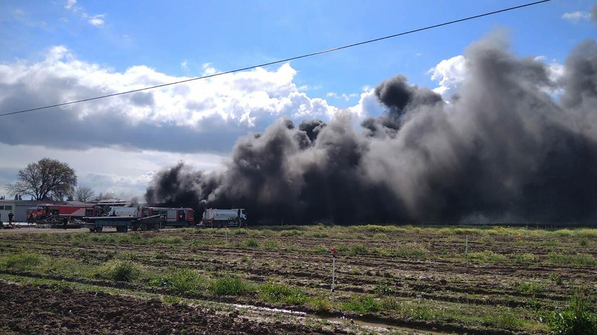 Fidan deposunda yangın