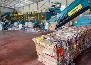 Geri dönüşümle 521 bin ağaç kesilmekten kurtarıldı