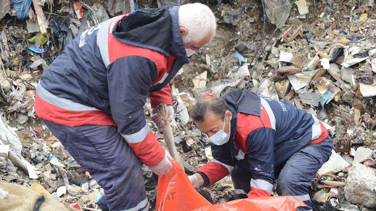 Köpek ölümleriyle ilgili suç duyurusunda bulunacağız
