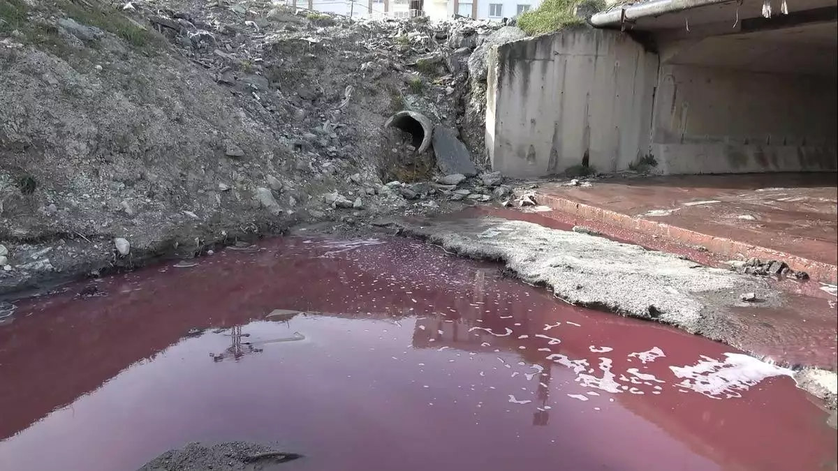 Arnavutköy'de çok sayıda fabrikanın bulunduğu sanayi bölgesinden geçen dere kimyasallar nedeniyle kırmızı akmaya başladı.