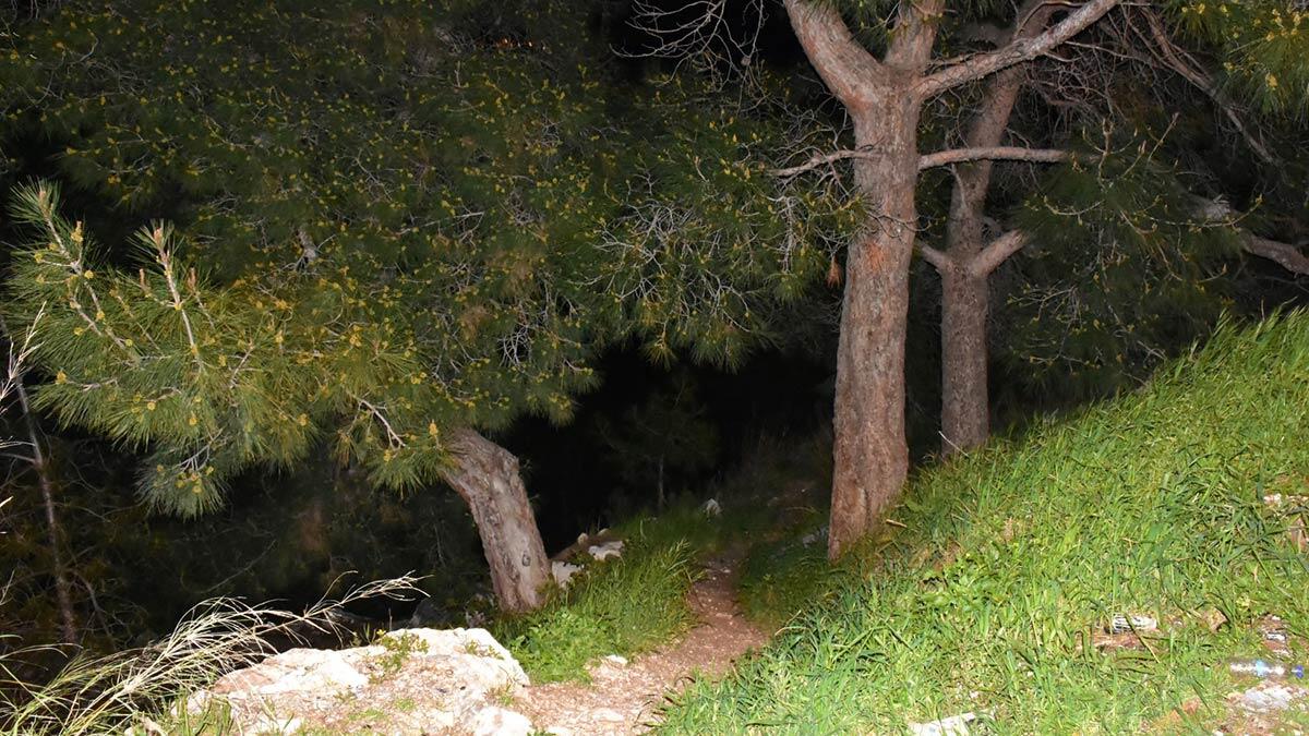 Ormanda kafatası ve kaburga kemikleri bulundu