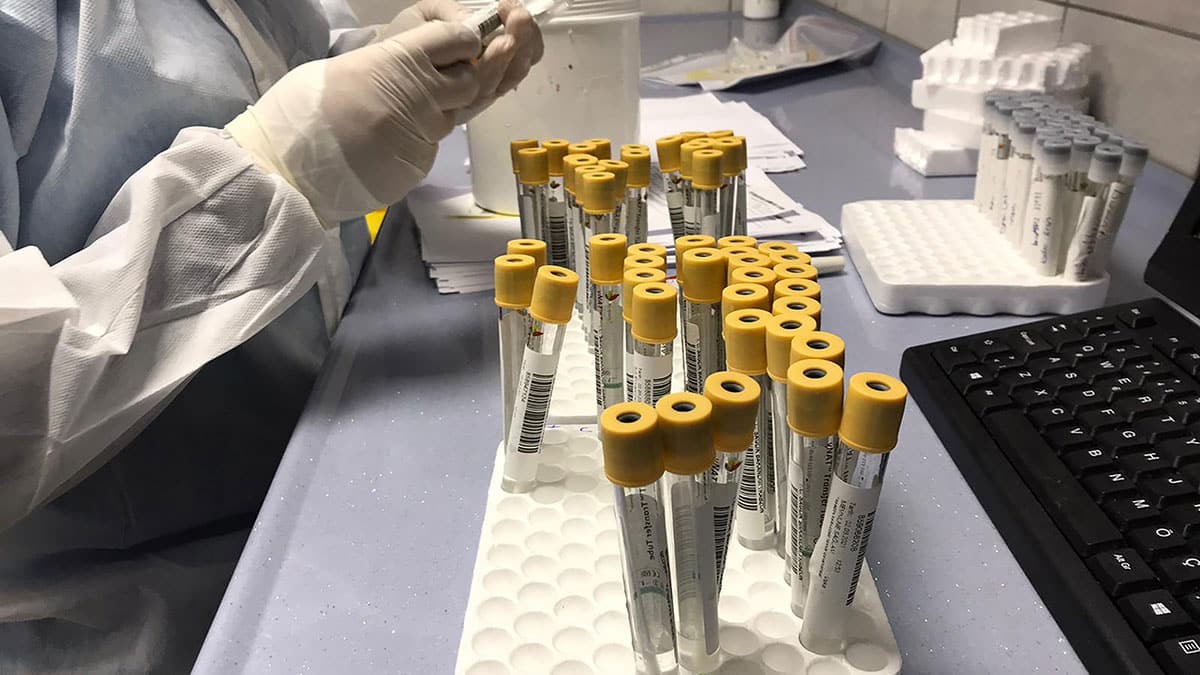 Karadeniz mutantı için bilim insanları harekete geçti