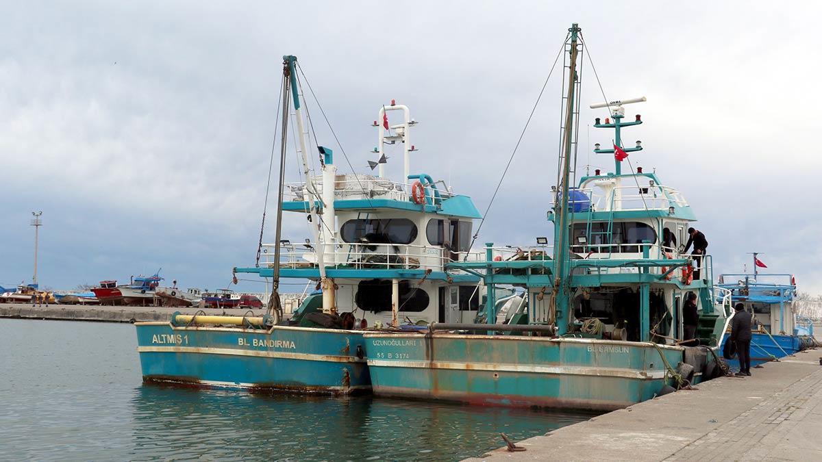 Balıkçılar çaça balığı avına yöneldi