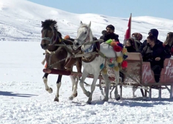 Çıldır Gölü'nde atlı kızak keyfi
