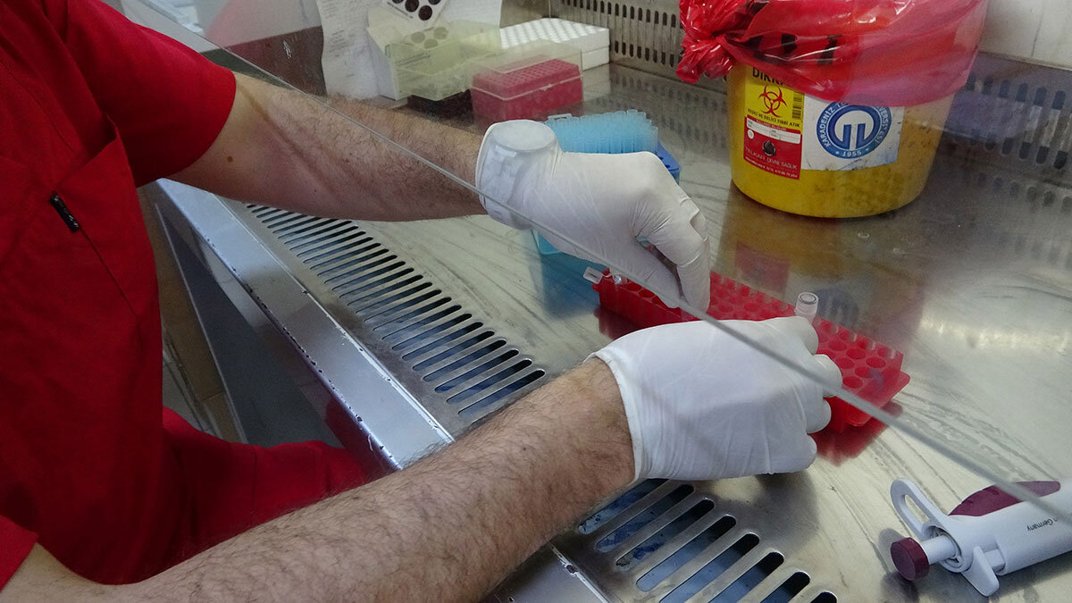 15 tane mutant suş var