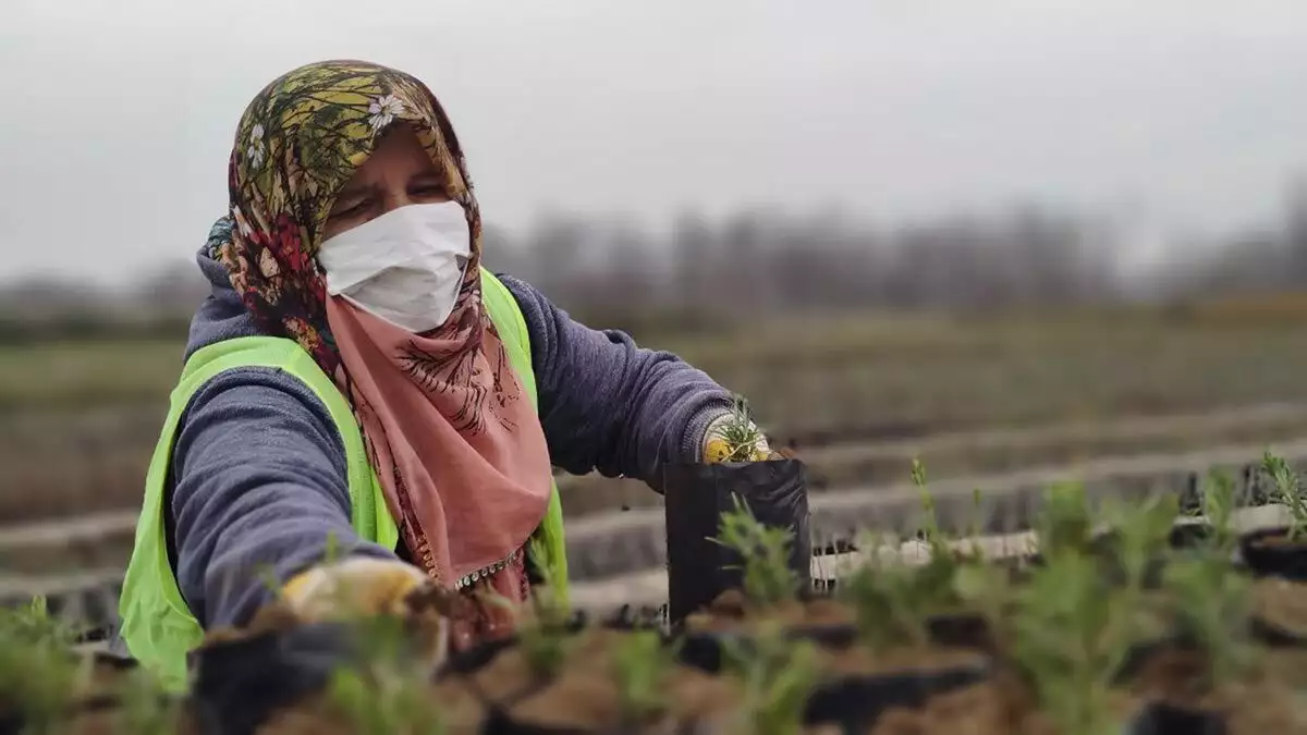 Fidanların toprakla buluşmasının mutluluğu