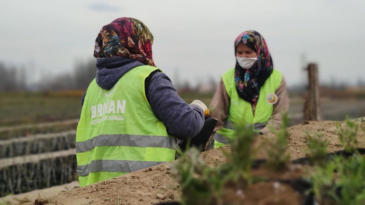 Pınar Orman Fidanlığı'nda çalışan kadınlar, tohumları ekerek elde ettikleri fidanların toprakla buluşmasının mutluluğunu yaşıyor.