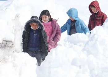 Erzurum'da ev ve ahırlar kara gömüldü