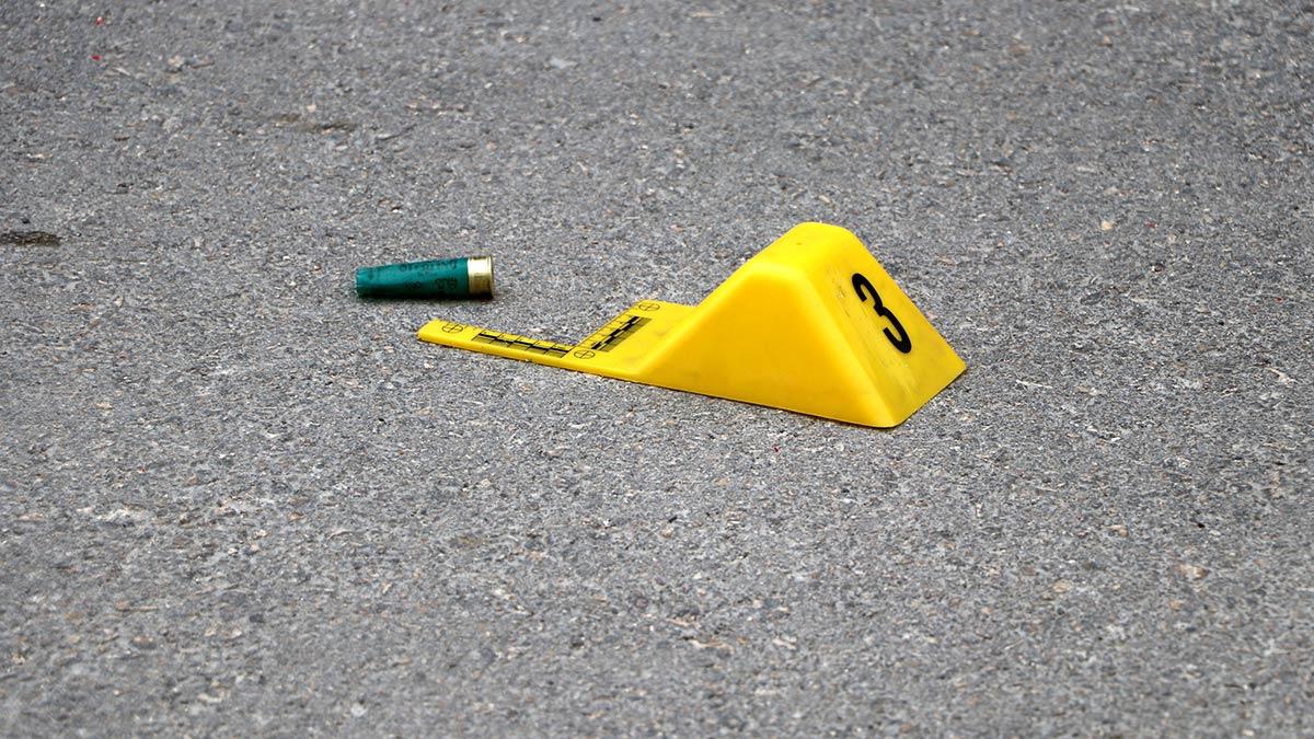 İnsanların birbirlerini dinlemediği, ihtiyaç duyduğu sevgiyi, değeri ya da özel alanı veremediği zaman şiddetin de arttığını belirten aile ve evlilik terapisti Obengül Ejder ise şiddetin önüne geçmek için insanların öncelikle birbirlerini dinlemeleri gerektiğini vurguladı.