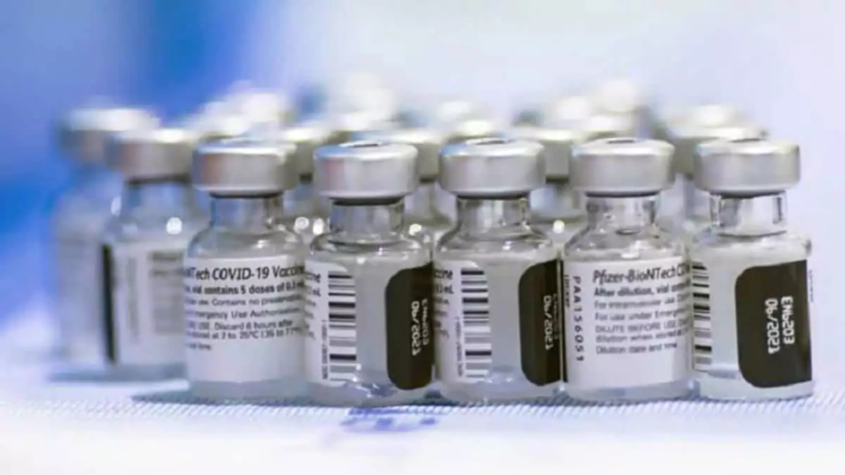Pfizer biontech aşısı brezilya mutasyonunda etkili
