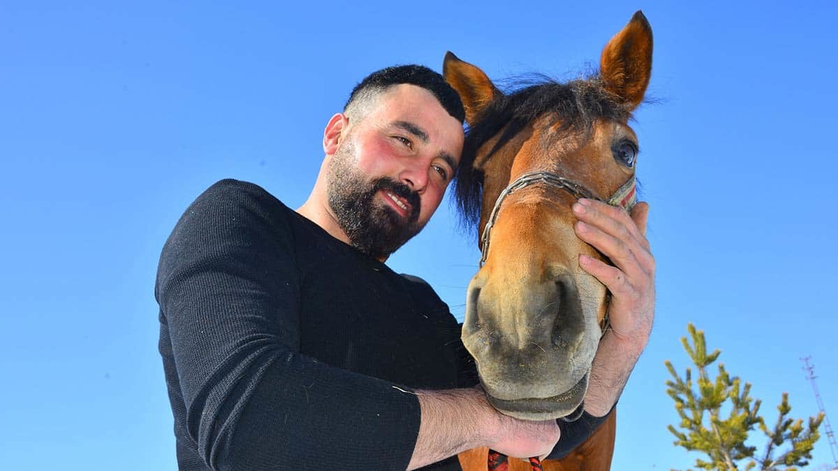 Ardahan'da, binlerce yıllık geçmişe sahip olan rahvan atlar, geleneğin devam etmesi için yetiştirilirken, birçok ile de satışı gerçekleştiriliyor.