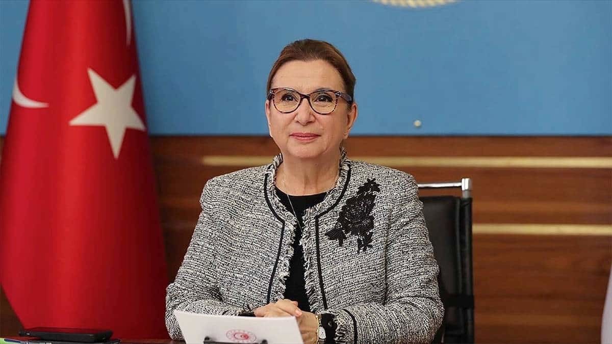 En yüksek şubat ayı ihracat rakamını yakaladık