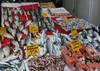 En çok somon levrek ve çupra alıcı buluyor