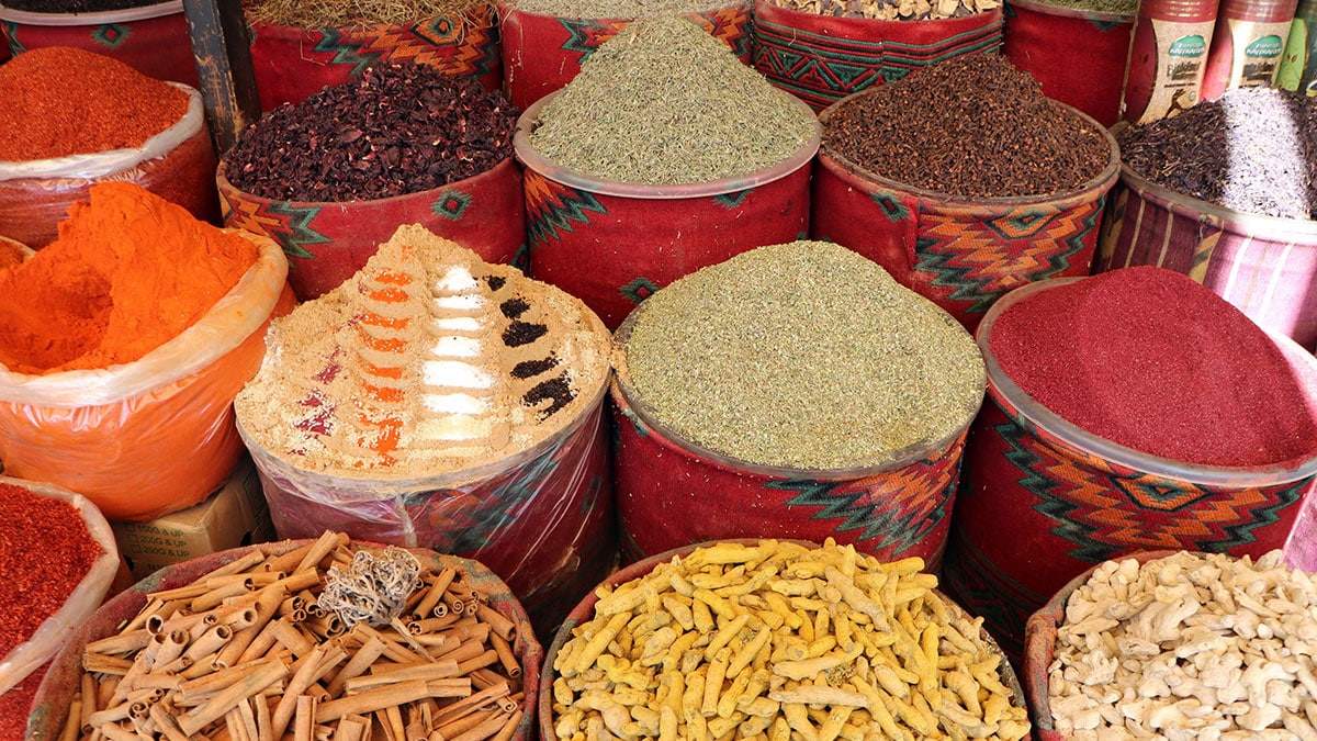 Şifa kaynağı bitkiler online satılmaya başladı