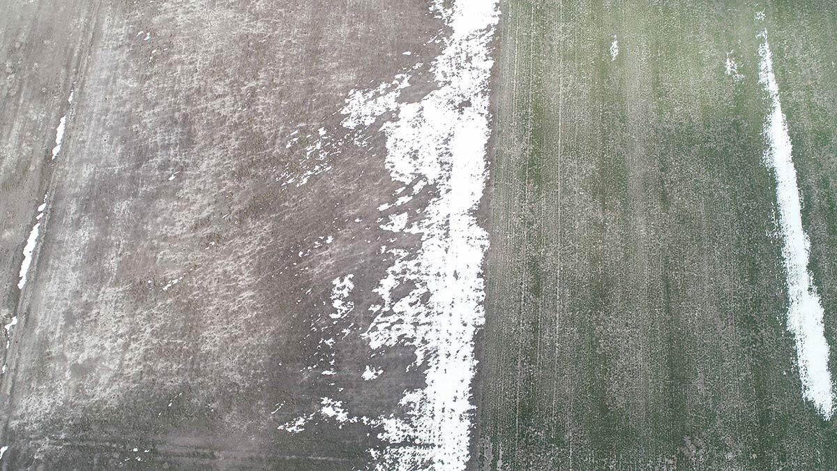 Konya Ovası'nda yağmur ve kar yağışları çiftçiyi sevindirdi