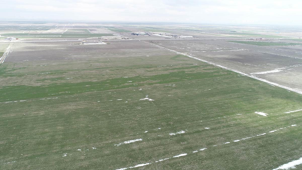 Konya Ovası'nda yağmur ve kar yağışları çiftçiyi sevindirdi