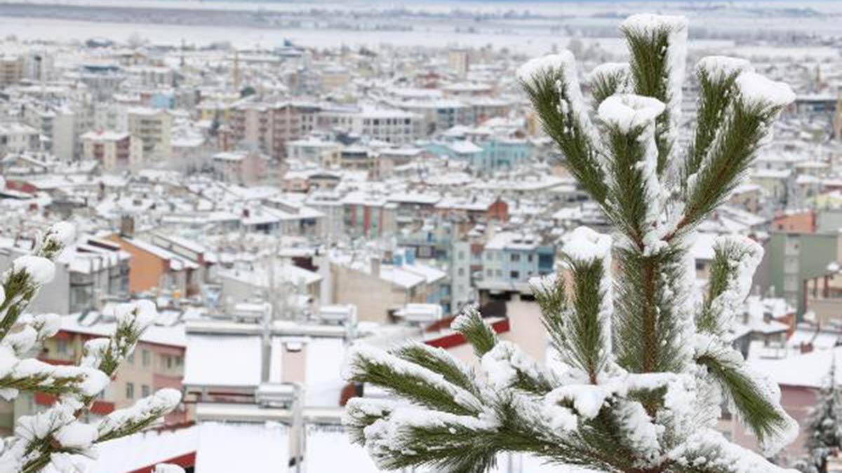 Karatay Ziraat Odası Başkanı Rıfat Kavuneker, "Bu yağışlarla birlikte nisan ve mayıs ayı da yağış alırsa, kuraklığı atlatmış oluruz. Yağış almazsak, aynı sıkıntı devam edecek'' dedi.