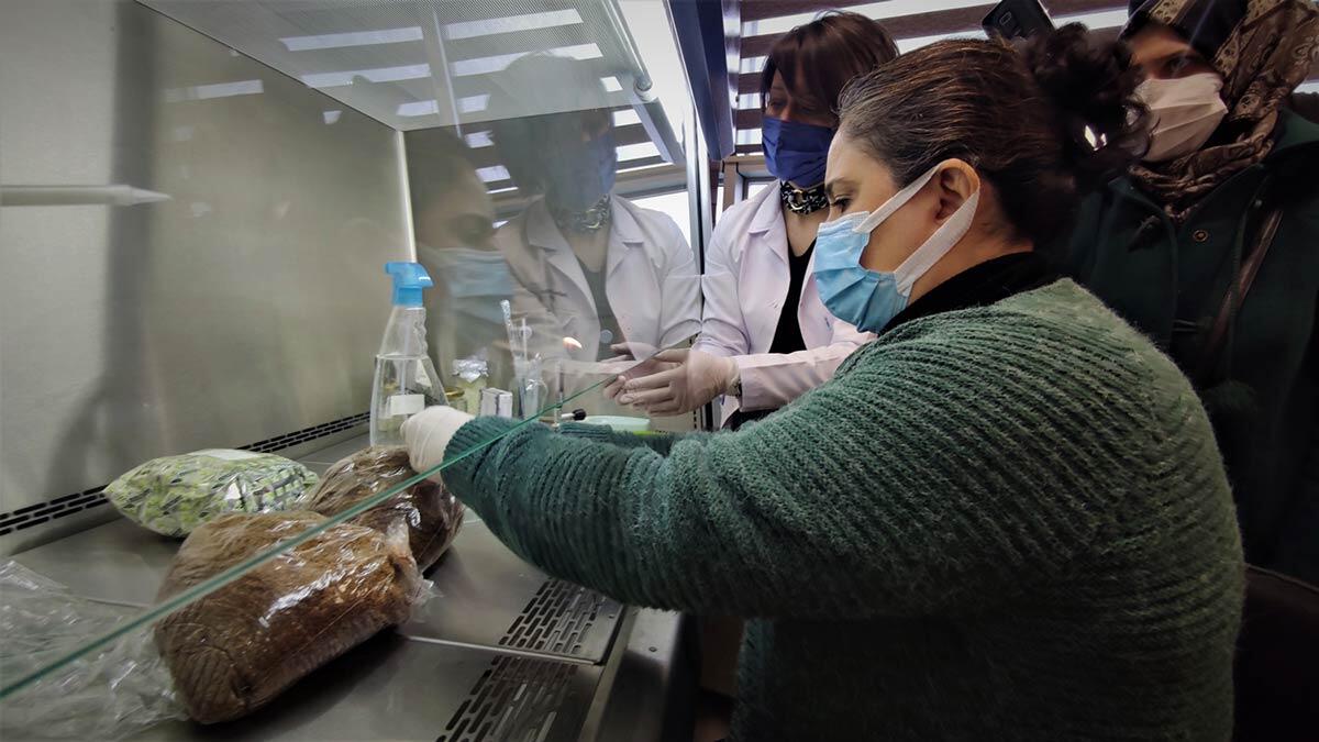 Tıbbi mantar yetiştiriciliği öğreniyorlar