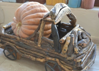 Ağaç köklerini sanat eserine dönüştürüyor