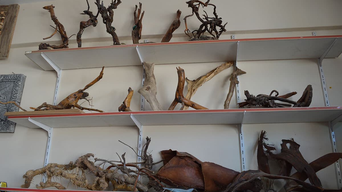 Şimdiye kadar 1000 eser üreten Bahçeci'nin hedefi atölyesini büyütüp halka ücretsiz eğitim vererek hobi kazandırmak olduğunu ifade ederek, "Deneme yanılma yöntemi ile öğrendiğim için belli bir zaman sonra öğretebilecek seviyeye geldiğimi düşünüyorum. Bu açıdan öğrenmek isteyen kişilere ücretsiz kurs imkanı da sunuyorum" dedi.