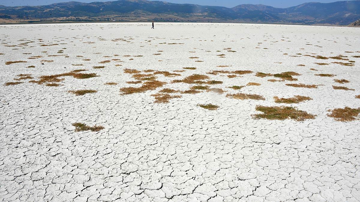 Araştırma sonuçlarına göre yılda 20 milyar ton su israf edildiği düşünülüyor. Bu yüzden vahşi sulama yerine bilinçli sulama sistemleri gerekiyor.