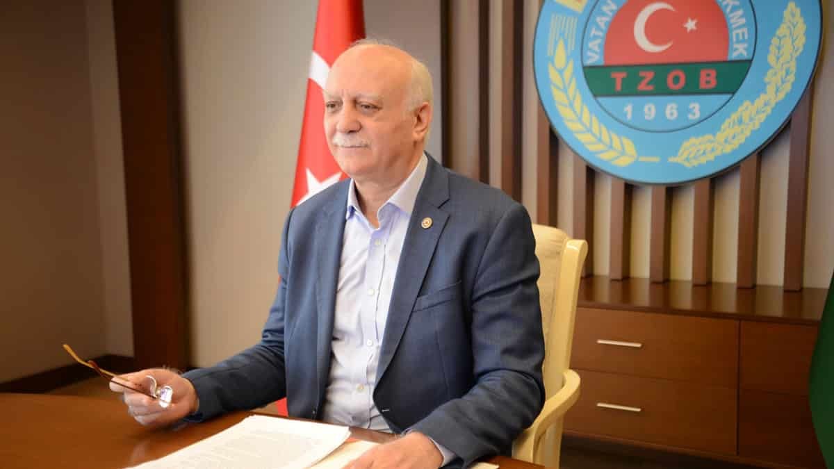 Zam şampiyonu sivri biber