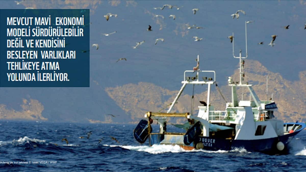 Çevre, iklim krizi ve sosyo-ekonomik etkilerin de ele alındığı raporda, Akdeniz'in başta balıkçılık ve turizm sektörü olmak üzere, denizle ilişkili faaliyetlerden her yıl 450 milyar dolar değer yarattığı ve ekonomik açıdan dünyanın en önemli denizlerinden biri olduğu açıklandı.