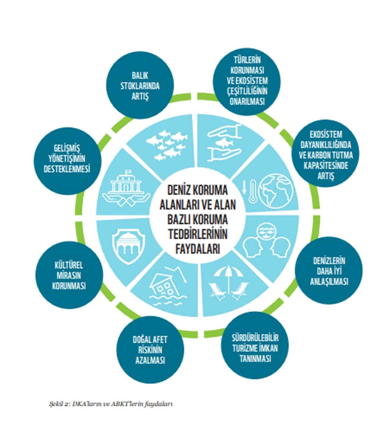 İklim değişikliğinin etkilerine vurgu yapan Dünya Doğayı Koruma Vakfı (WWF), 2030'a kadar Akdeniz'in en az üçte biri korunmalı açıklaması yaptı.