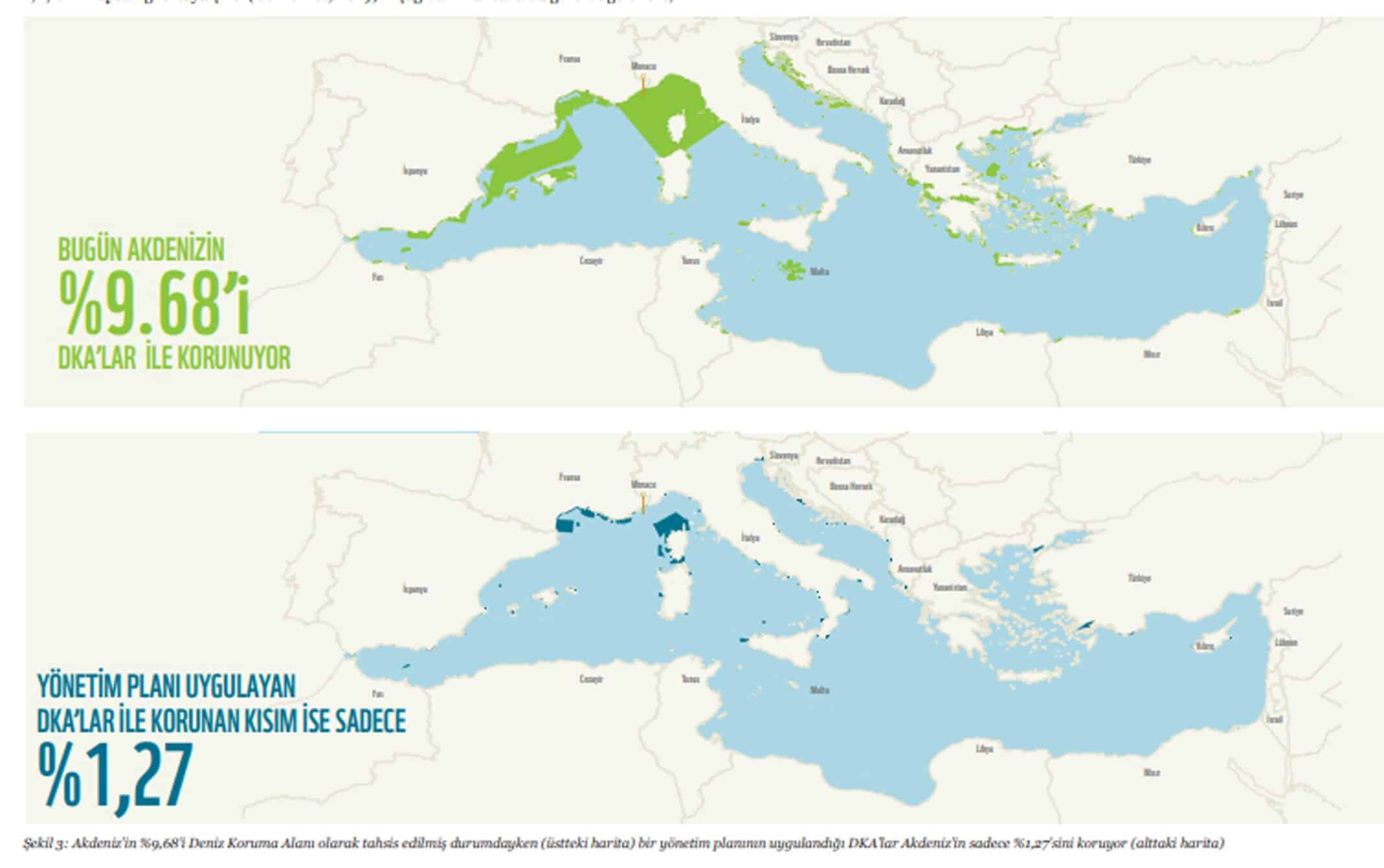2030'a kadar Akdeniz'in en az üçte biri korunmalı