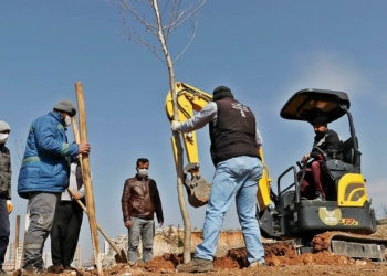 Yeşil Mardin projesinde hedef 50 bin ağaç