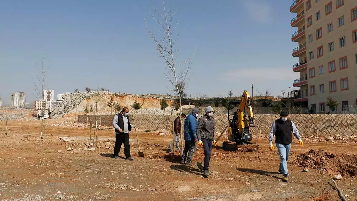 Yeşil mardin projesinde hedef 50 bin ağaç