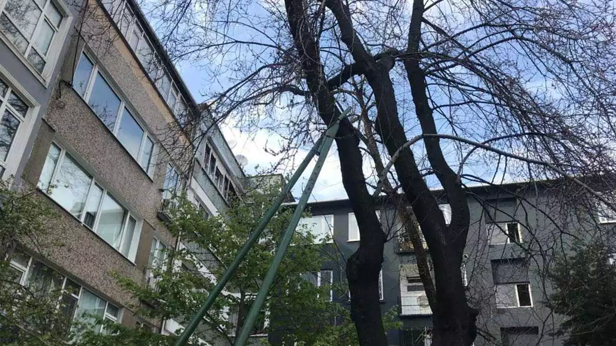 Mahalle sakinlerinin tepkisi sonrası, i̇stanbul 4 numaralı tabiat varlıkları koruma bölge komisyonu, erguvan ağacı için kesme kararını durdurdu.