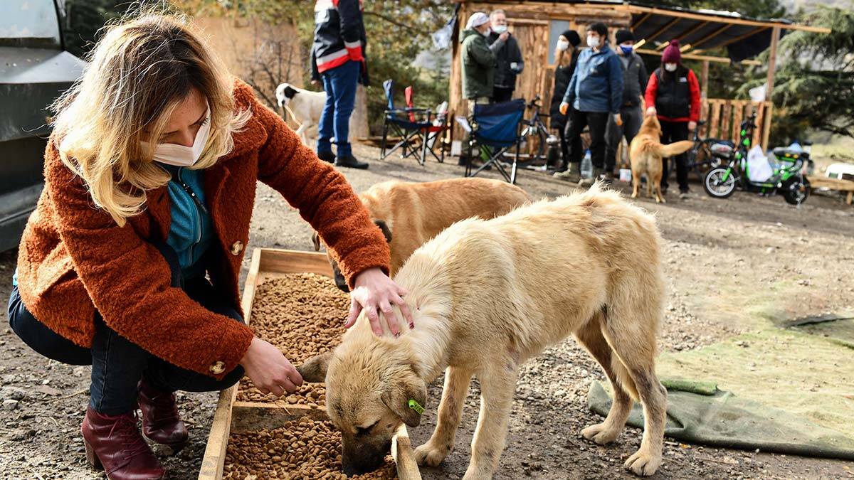 Ankara Büyükşehir tam kapanmada teyakkuzda