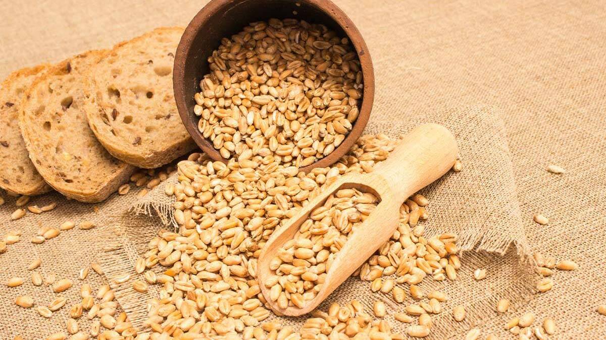 Beta glukan mevsimsel geçişlerde kullanılmalı