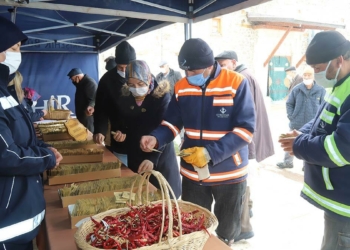 Milyonlarca yerel tohum üreticilerle buluştu