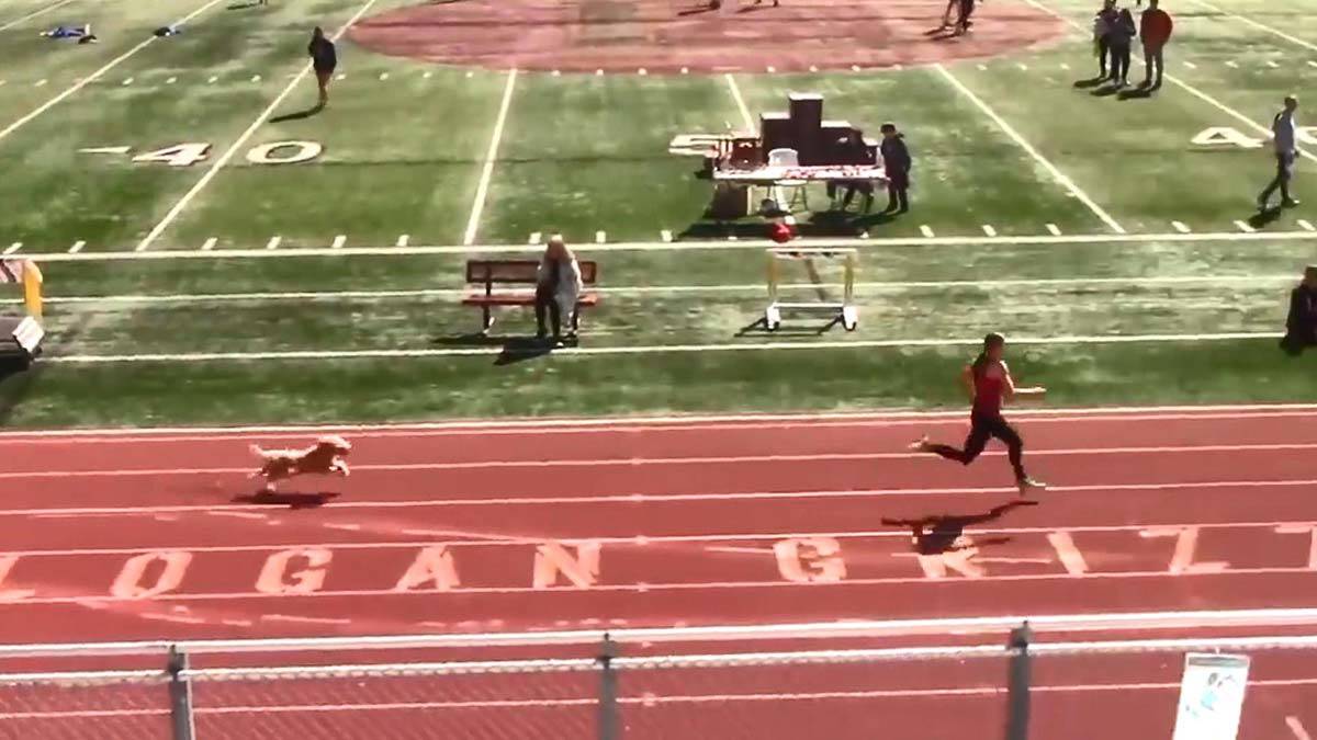 İlginç anlar kameraya yansıdı.