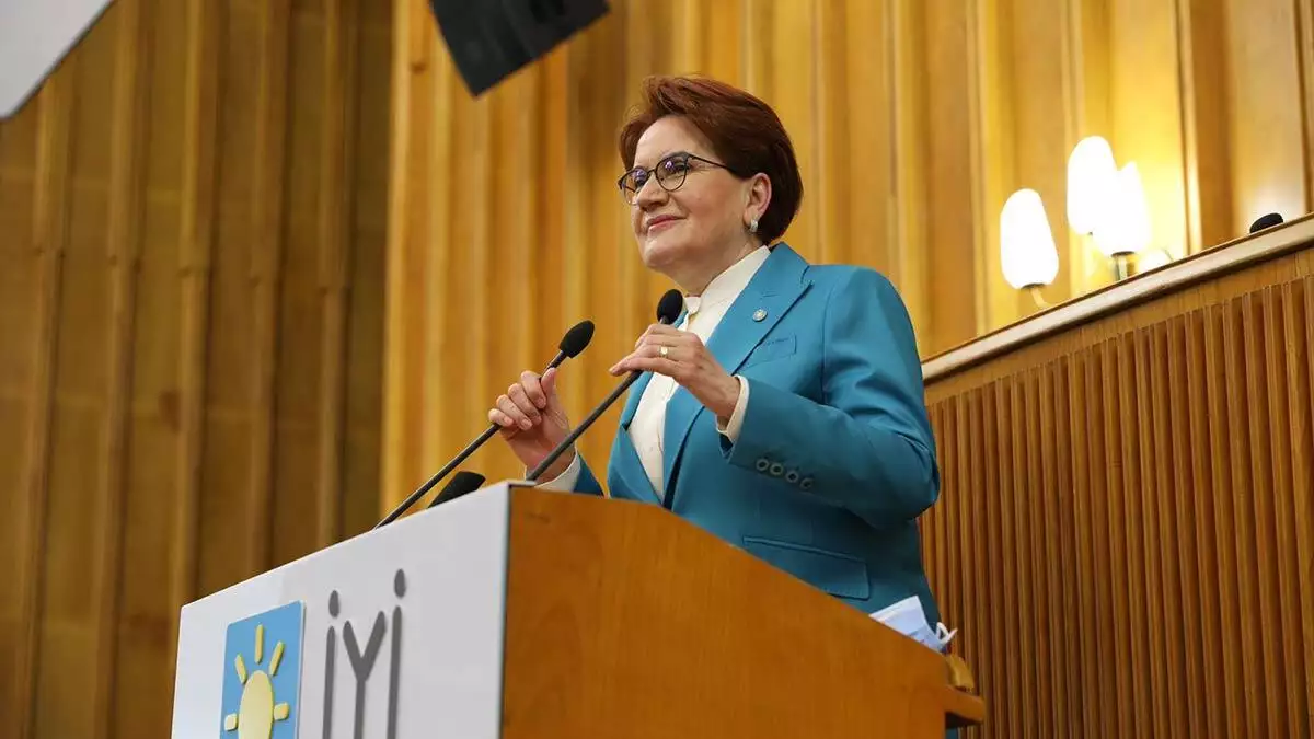 Akşener, "ülkesine yıllarca hizmet etmiş olanların çok daha sorumlu davranmaları gerekir. Herkesin bilinç ve sorumlulukla hareket etmesi gerekir. Bu işler böyle yapılmaz. Bunu gizemli gece yarısı bildirileriyle yapamazlar. Yapanlar da önce karşılarında bizi bulurlar. Vesayete her zaman karşı durduk, durmaya devam edeceğiz" dedi.