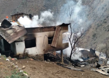 Artvin'de 12 ev yandı