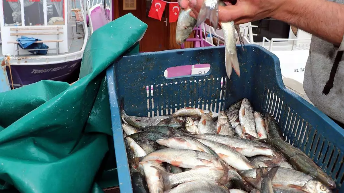 Trabzon’un akçaabat ilçesinde balıkçılar, sezon boyunca denize serdikleri ve zarar gören ağlarını imece usulü onarmaya başladı. Ağ bakım ve onarım işlemlerinin ardından teknelerini de bakıma alacak olan balıkçılar, yeni sezonu bekleyecek.
