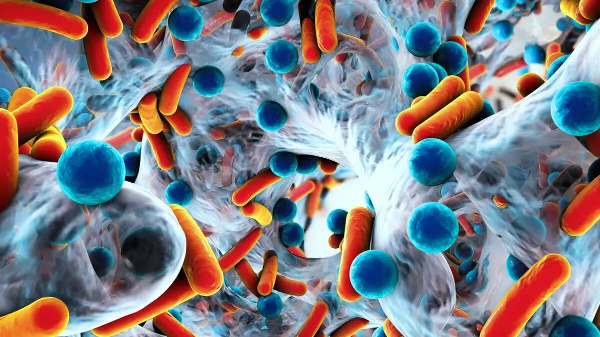 Bakteri ömür boyu kalıcı olabilir