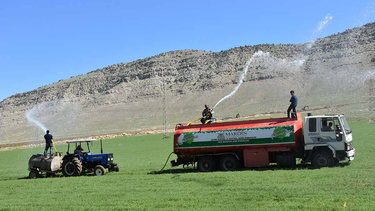 Son 20 yılın en kurak mevsimini yaşadıklarını belirten Batman Biçerdöverler Derneği Başkanı Ahmet Eren, "Buğday, arpa ve mercimekten oluşan yaklaşık 20 bin dönüm alanda ciddi bir hasar söz konusu.