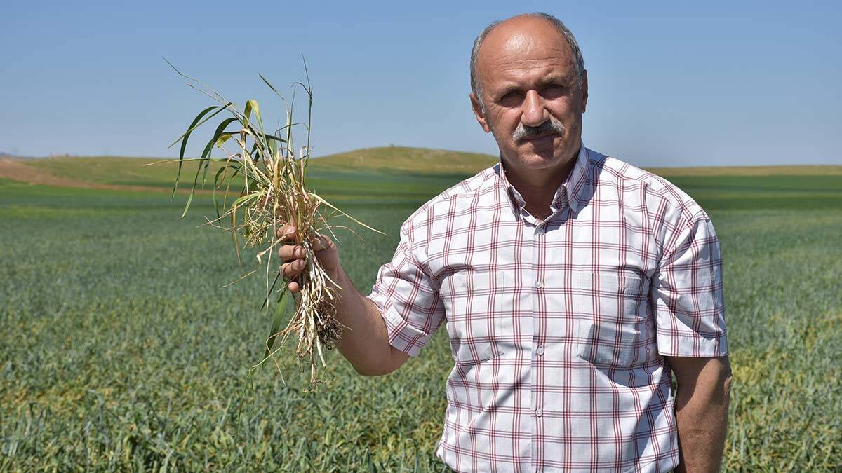 Batman Ovası'ndaki tarım arazilerinde kuraklık tehlikesi yaşanıyor. Tarlaları kurumaya yüz tutan çiftçiler, sulamayı tankerlerle yapmak zorunda kaldı.