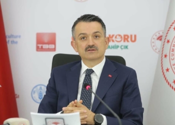 TMO patates ve kuru soğan yardımı yapacak