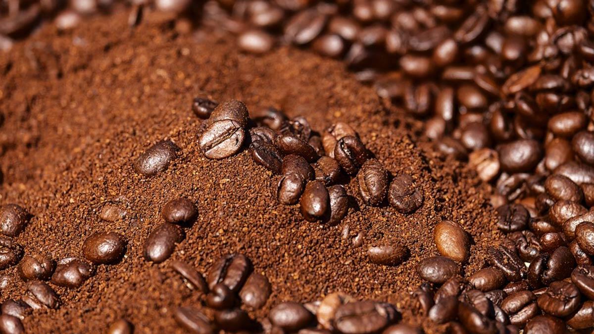 Günde 3-4 fincan kahve tüketilmeli