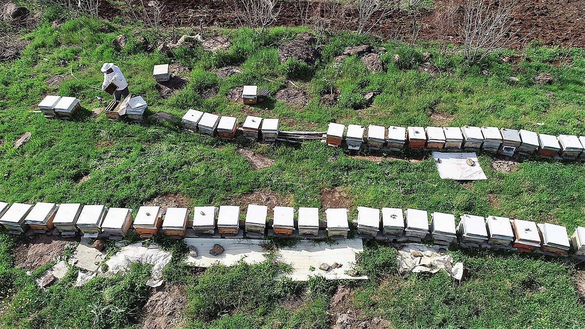 Kılıç, küresel ısınma ve buna bağlı olarak yağışın azlığı, hava kirliliği ve ilaçlama gibi nedenlerle bitki ve çiçek türlerinde azalma yaşandığını söyledi. Bu durumun arıları etkilemesinden dolayı tabiattaki düzenin çökeceğinin uyarasında bulundu.