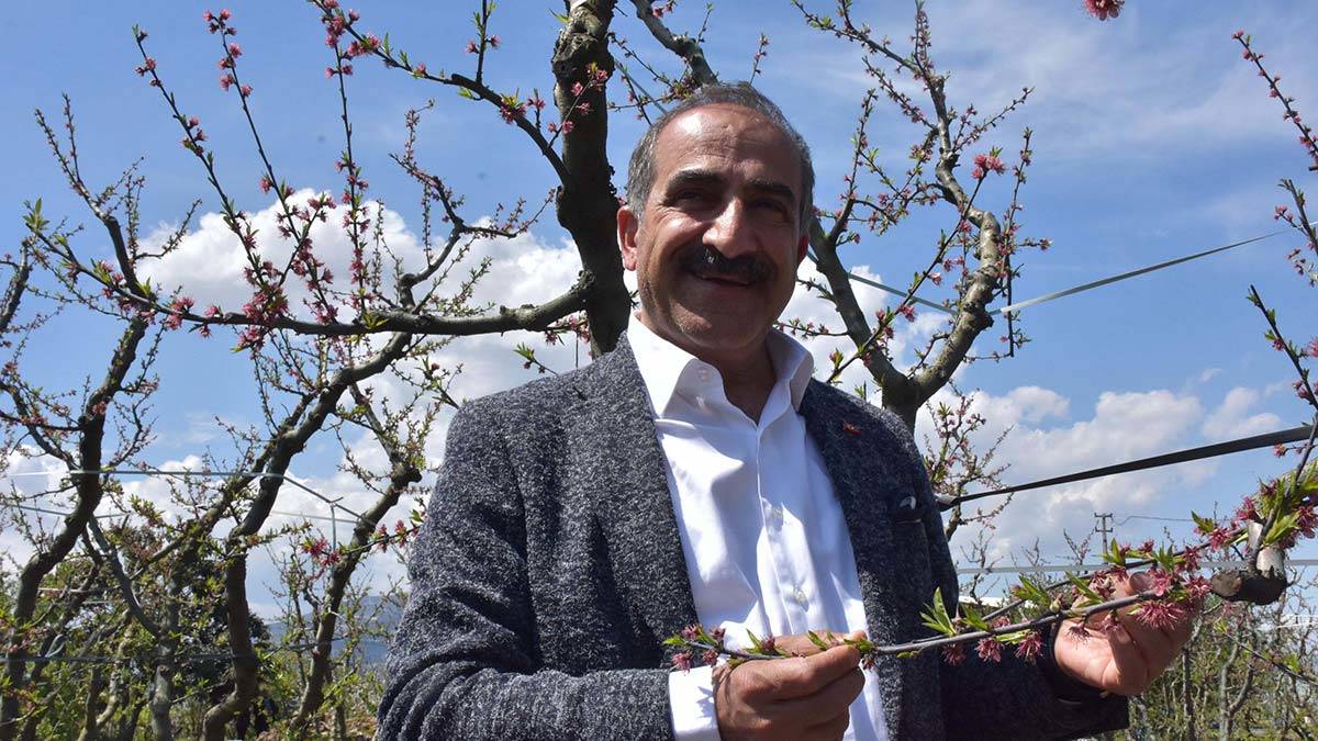 Şeftali ve nektarin bereketi yaşanacak